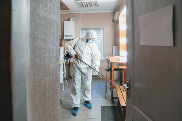 Best Black Mold Removal  in Shasta Lake, CA